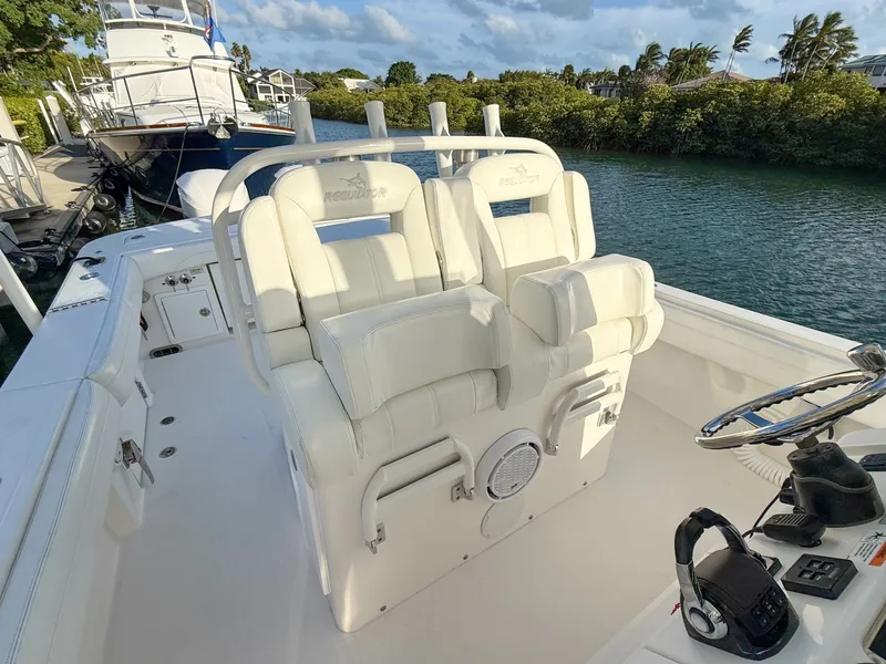 Slide: The Image of Regulator Marine 31 2020 - 6070719