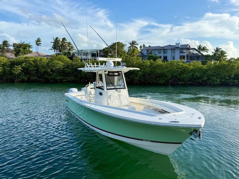 Slide: The Image of Regulator Marine 31 2020 - 6070706