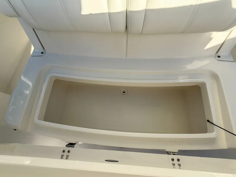 Slide: The Image of Regulator Marine 31 2020 - 6070737