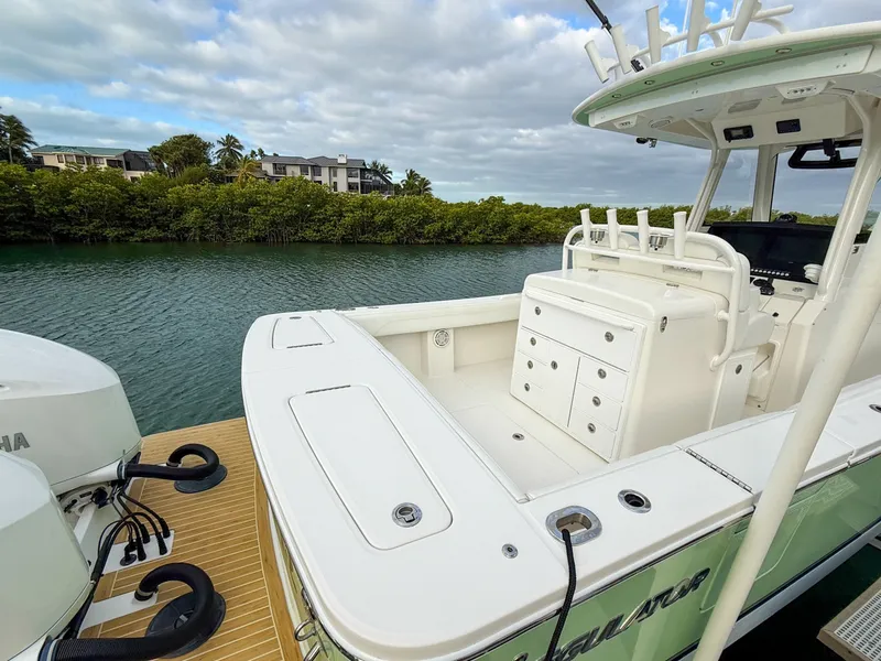 Slide: The Image of Regulator Marine 31 2020 - 6070730