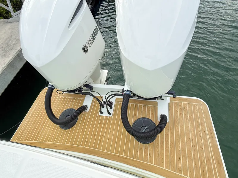 Slide: The Image of Regulator Marine 31 2020 - 6070728