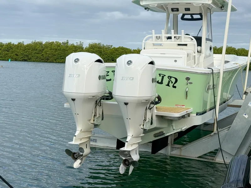Slide: The Image of Regulator Marine 31 2020 - 6070750