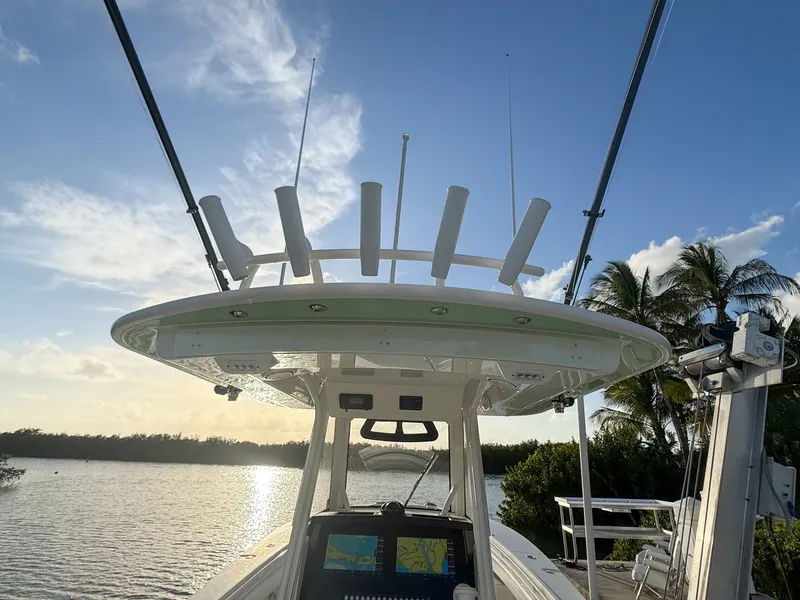 Slide: The Image of Regulator Marine 31 2020 - 6070747