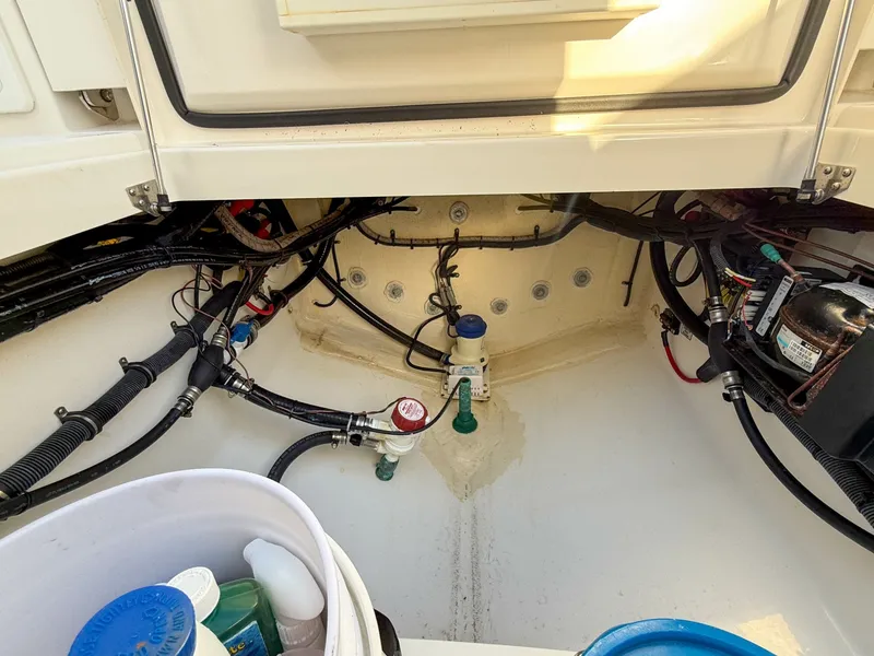 Slide: The Image of Regulator Marine 31 2020 - 6070722