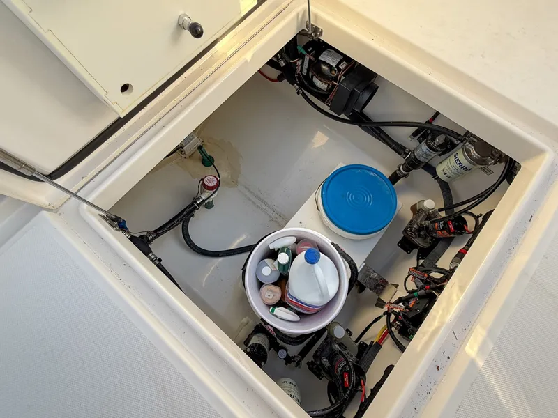 Slide: The Image of Regulator Marine 31 2020 - 6070723