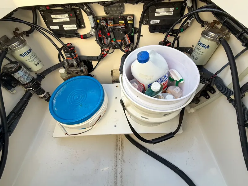 Slide: The Image of Regulator Marine 31 2020 - 6070724