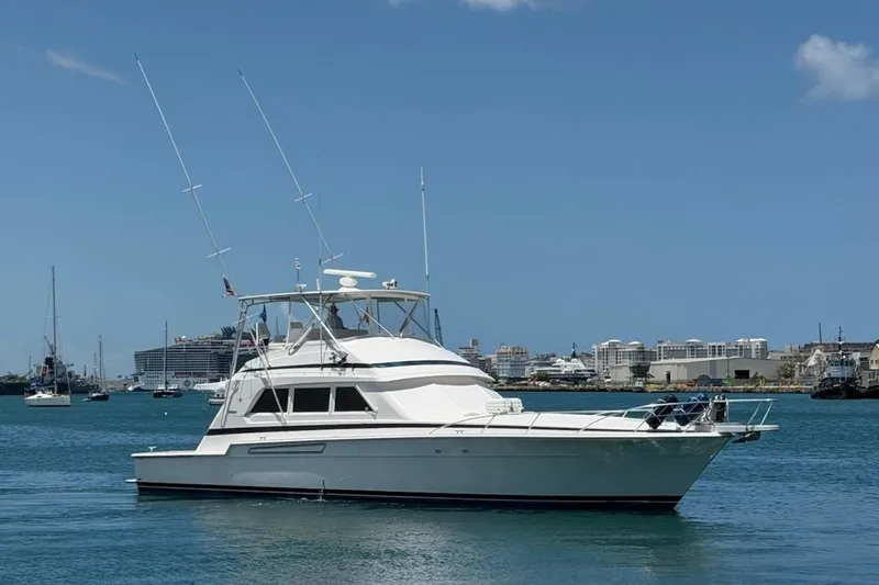 The Image of Bertram 60 Convertible 1995 - 6070946