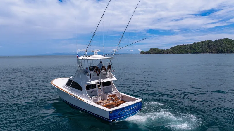 Slide: The Image of 2023 Viking 46 Billfish - 6090854