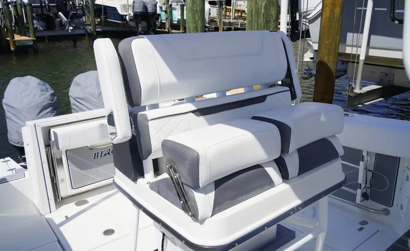 Slide: The Image of Blackfin 252CC 2021 - 6079106