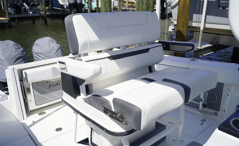 Slide: The Image of Blackfin 252CC 2021 - 6079107