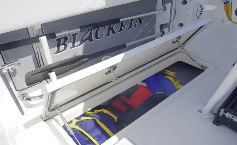 Slide: The Image of Blackfin 252CC 2021 - 6079110