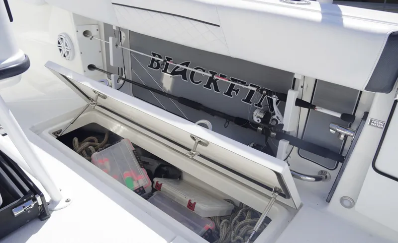 Slide: The Image of Blackfin 252CC 2021 - 6079112