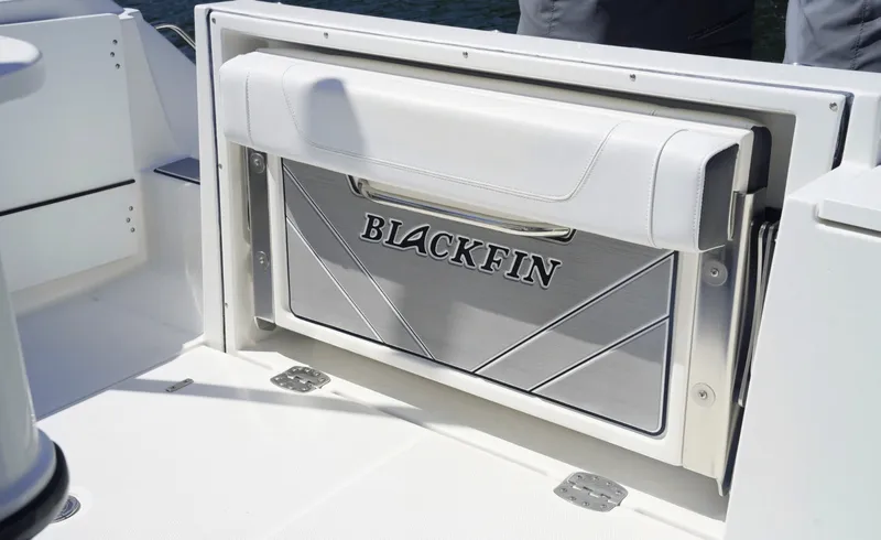 Slide: The Image of Blackfin 252CC 2021 - 6079095