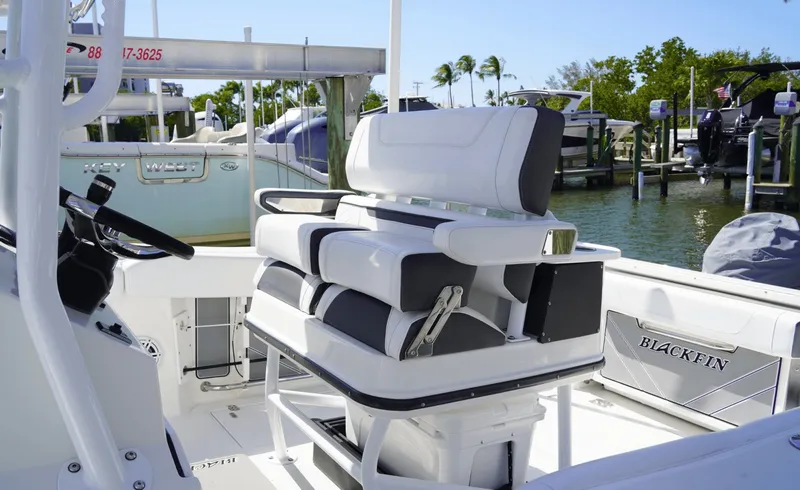 Slide: The Image of Blackfin 252CC 2021 - 6079097