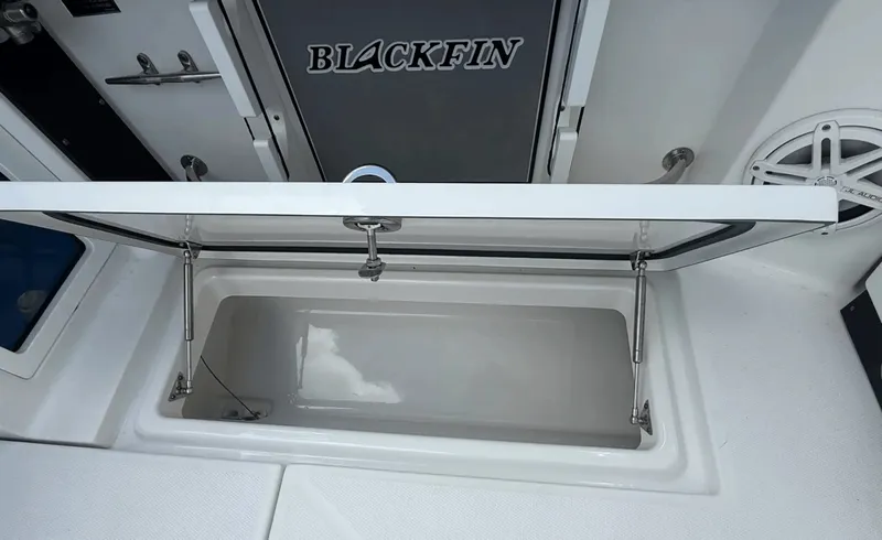 Slide: The Image of Blackfin 272DC 2020 - 6079244
