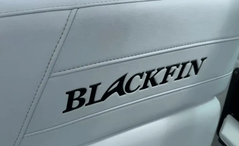 Slide: The Image of Blackfin 272DC 2020 - 6079284