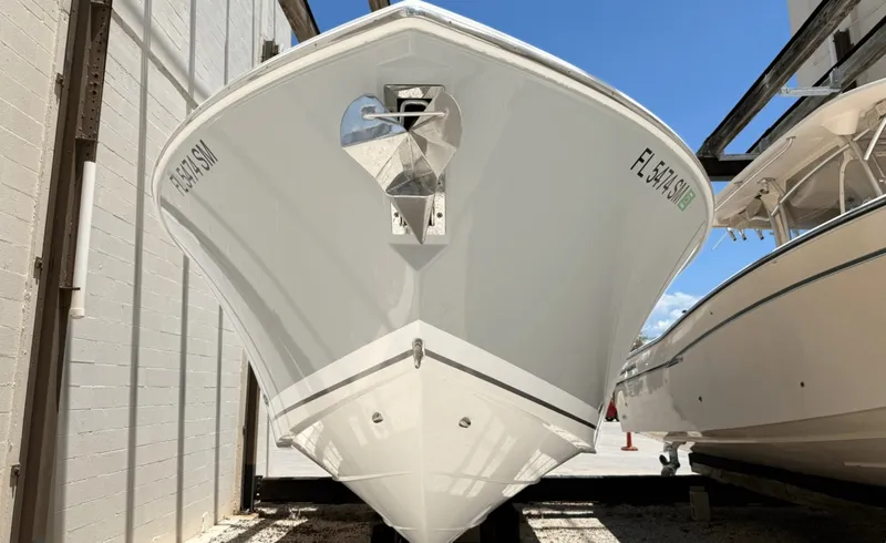 Slide: The Image of Pursuit S328 2020 - 6080137