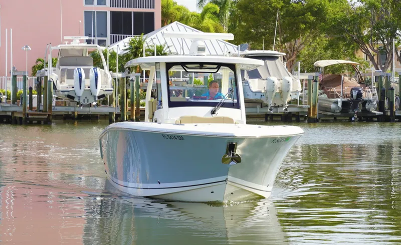 Slide: The Image of Pursuit S328 2020 - 6977974