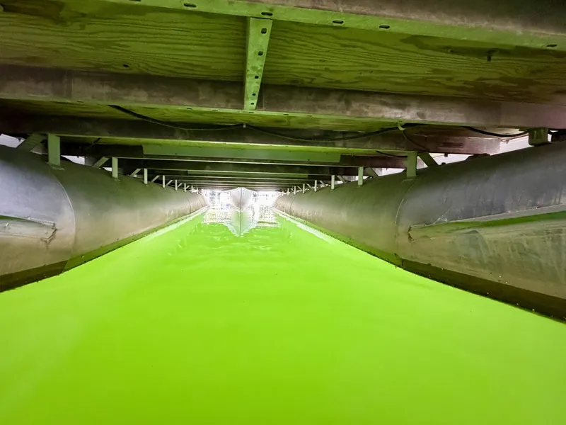 Slide: The Image of Sweetwater 2386 Cruise Pontoon 2019 - 6082511