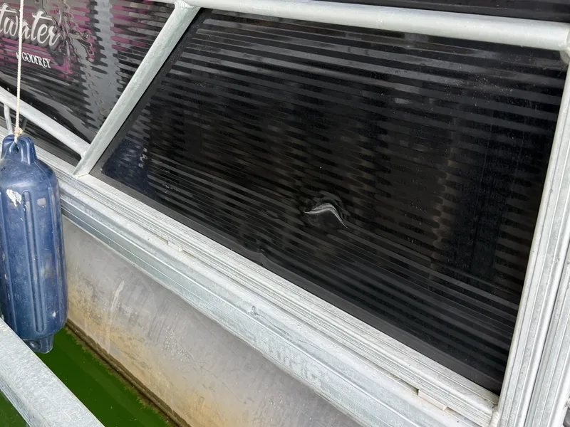 Slide: The Image of Sweetwater 2386 Cruise Pontoon 2019 - 6082580