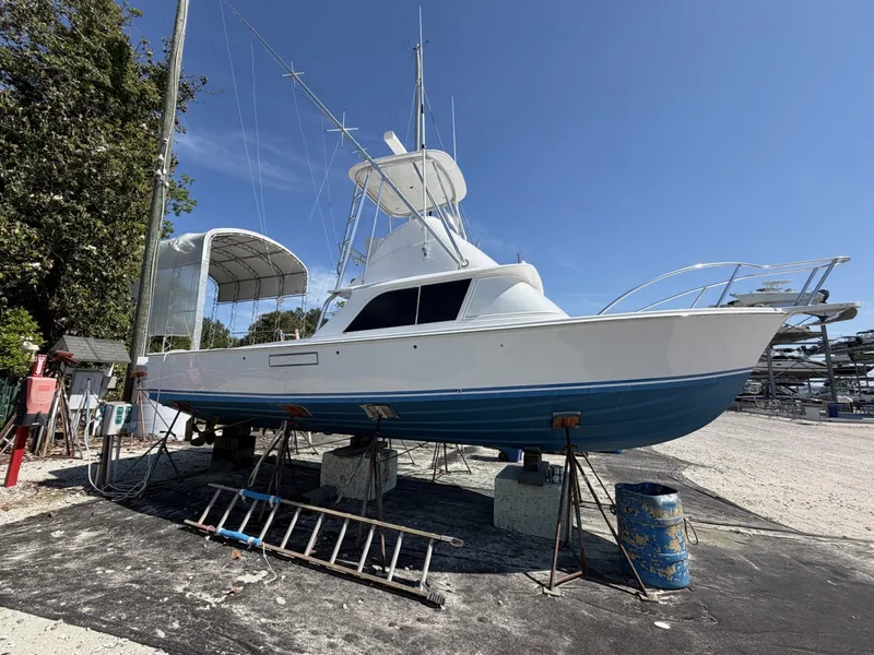 The Image of Bertram 31 Flybridge 1977 - 6085181
