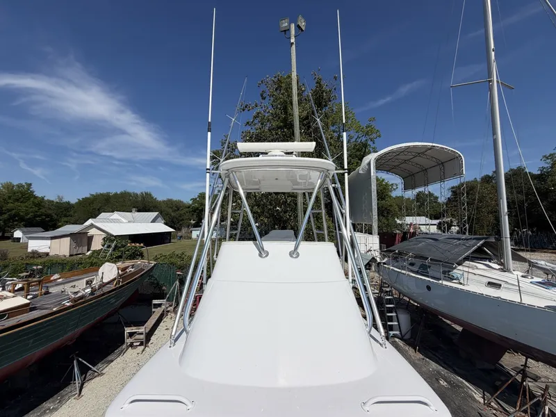 Slide: The Image of Bertram 31 Flybridge 1977 - 6085191