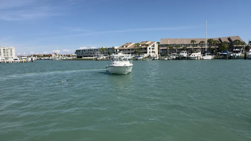 Slide: The Image of Boston Whaler 305 Conquest 2007 - 6088269