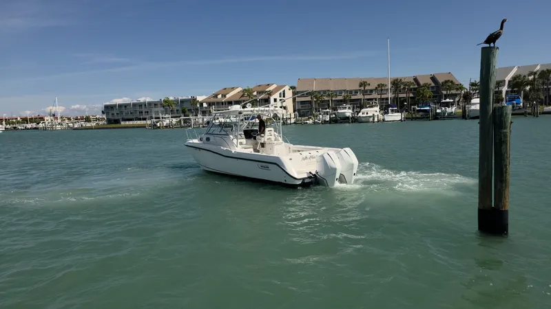 Slide: The Image of Boston Whaler 305 Conquest 2007 - 6088280