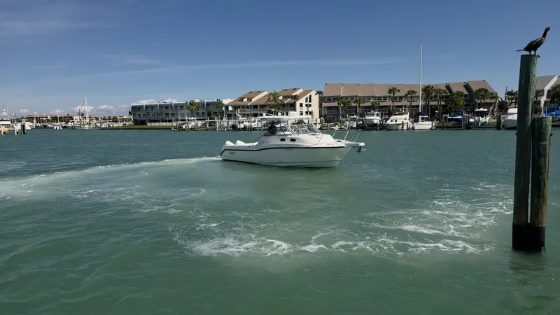 Slide: The Image of Boston Whaler 305 Conquest 2007 - 6088289