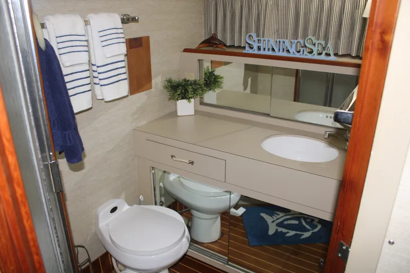 Slide: The Image of 42 ft Bertram - Master Ensuite Head - 6163831
