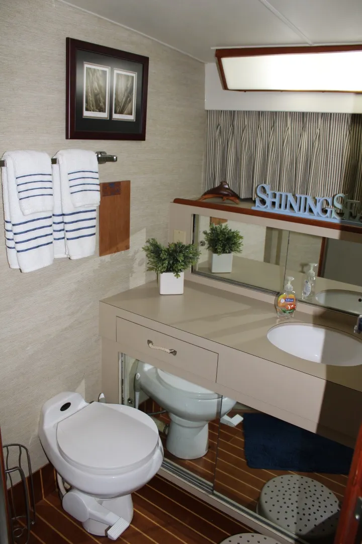 Slide: The Image of 42 ft Bertram - Master Ensuite Head - 6163832