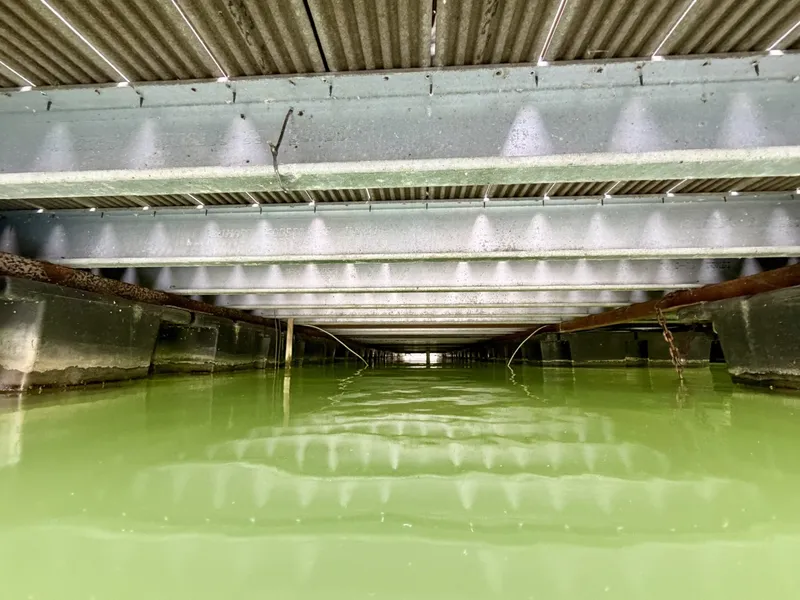 Slide: The Image of Custom 20 x 53 Floating Cabin - Approx 999/sqft 2002 - 6089579