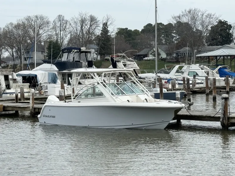 The Image of Sailfish 245 DC 2024 - undefined