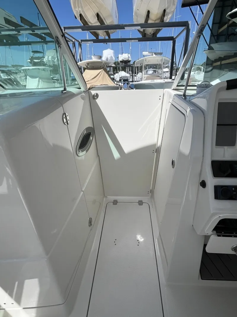 Slide: The Image of Sailfish 245 DC 2024 - 6108334