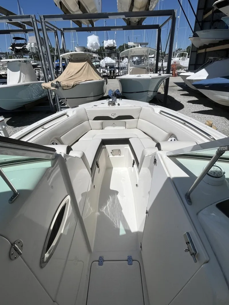 Slide: The Image of Sailfish 245 DC 2024 - 6108340