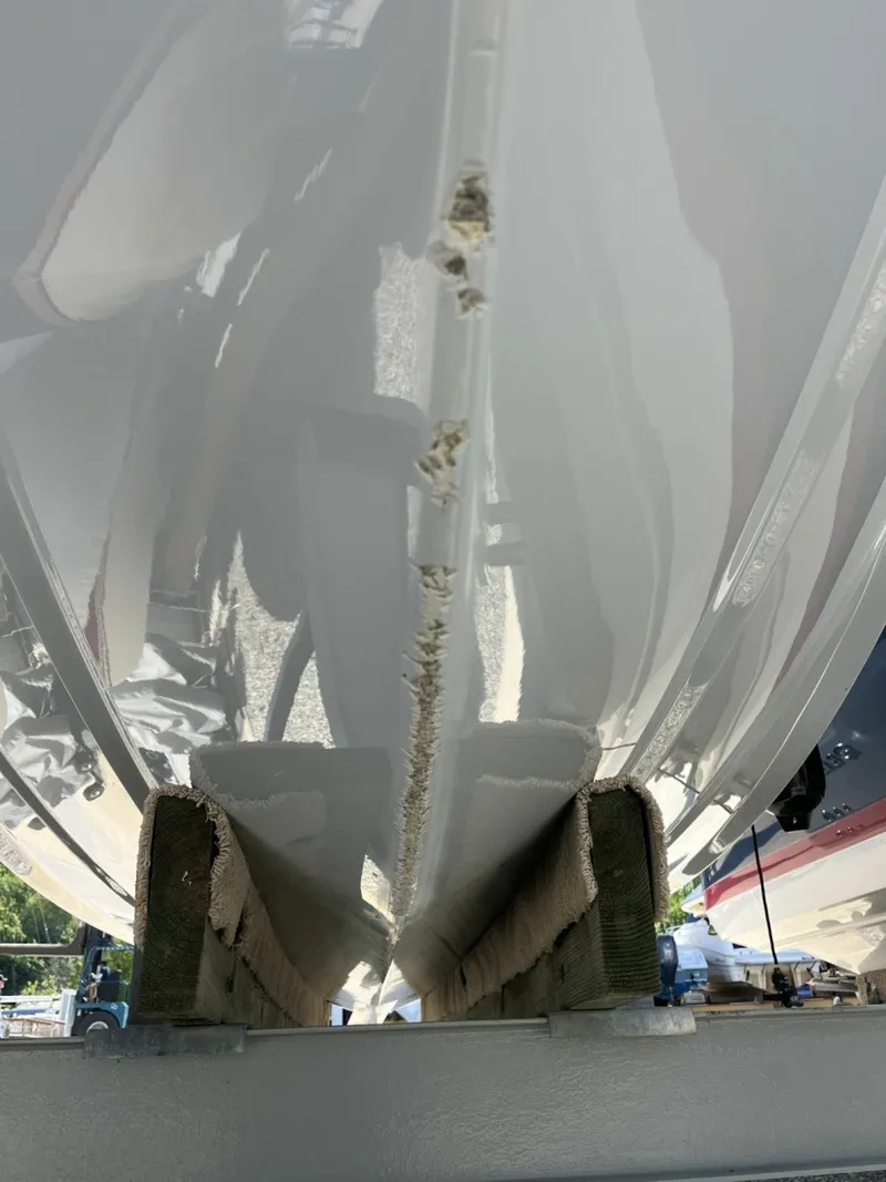 Slide: The Image of Sailfish 245 DC 2024 - 6108284