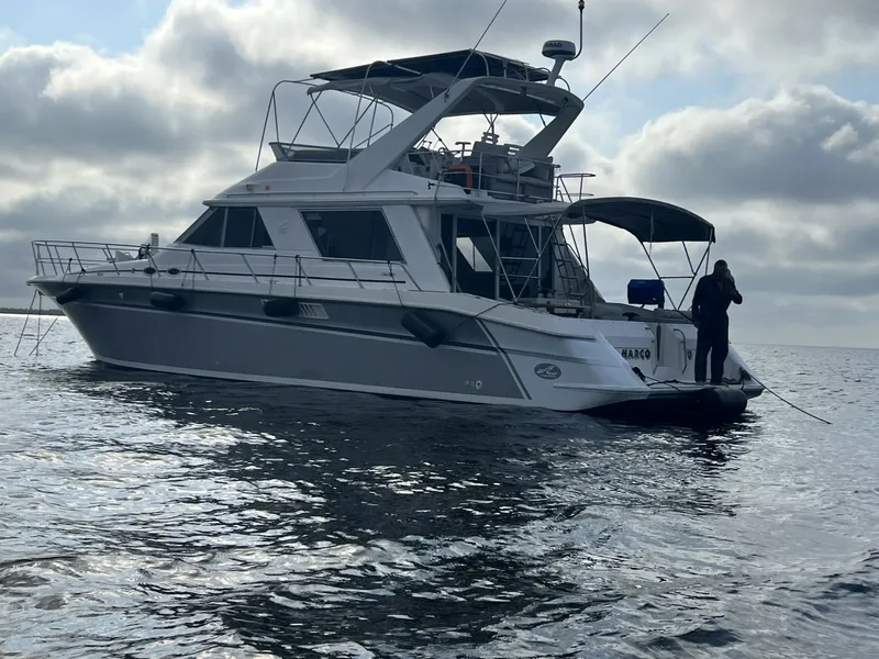 The Image of Sea Ray 550 1995 - 6108755