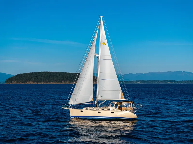 The Image of Island Packet 349 2020 - 6108817
