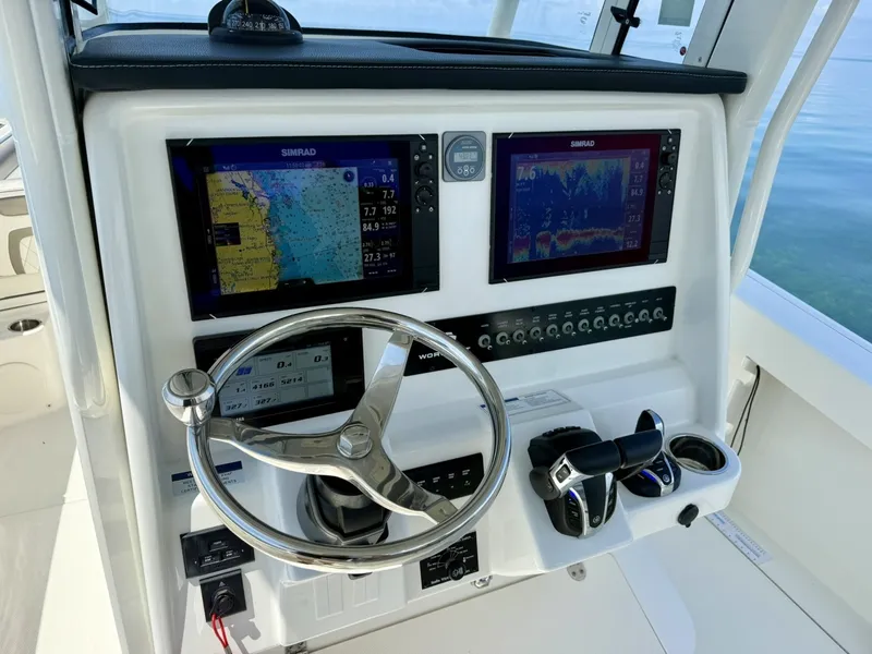 Slide: The Image of World Cat 295 CC 2021 - 6109453