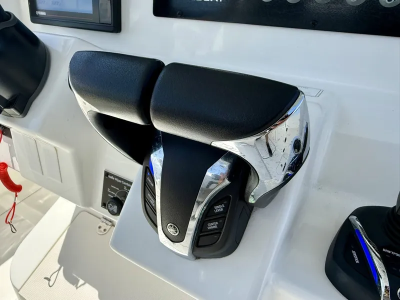 Slide: The Image of World Cat 295 CC 2021 - 6109451
