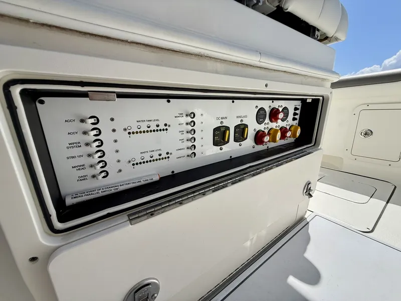 Slide: The Image of World Cat 295 CC 2021 - 6109467