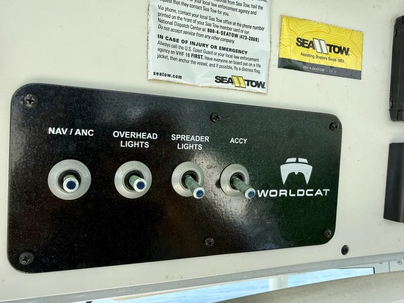 Slide: The Image of World Cat 295 CC 2021 - 6109532