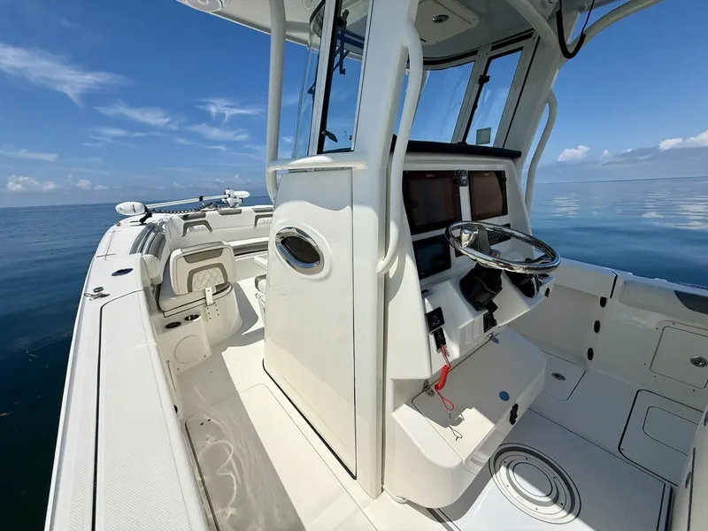 Slide: The Image of World Cat 295 CC 2021 - 6109454