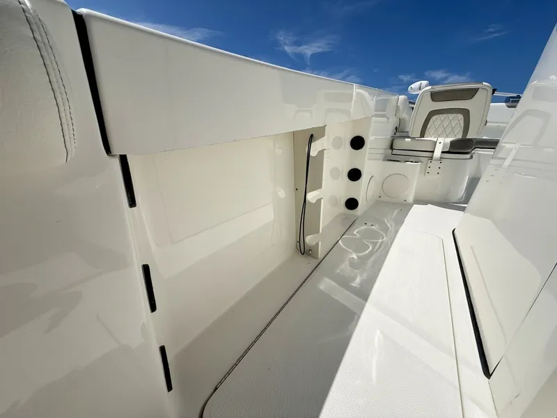 Slide: The Image of World Cat 295 CC 2021 - 6109524
