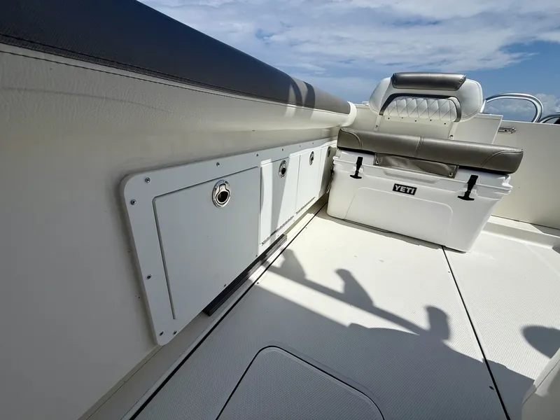 Slide: The Image of World Cat 295 CC 2021 - 6109447
