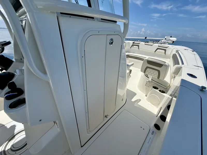 Slide: The Image of World Cat 295 CC 2021 - 6109495