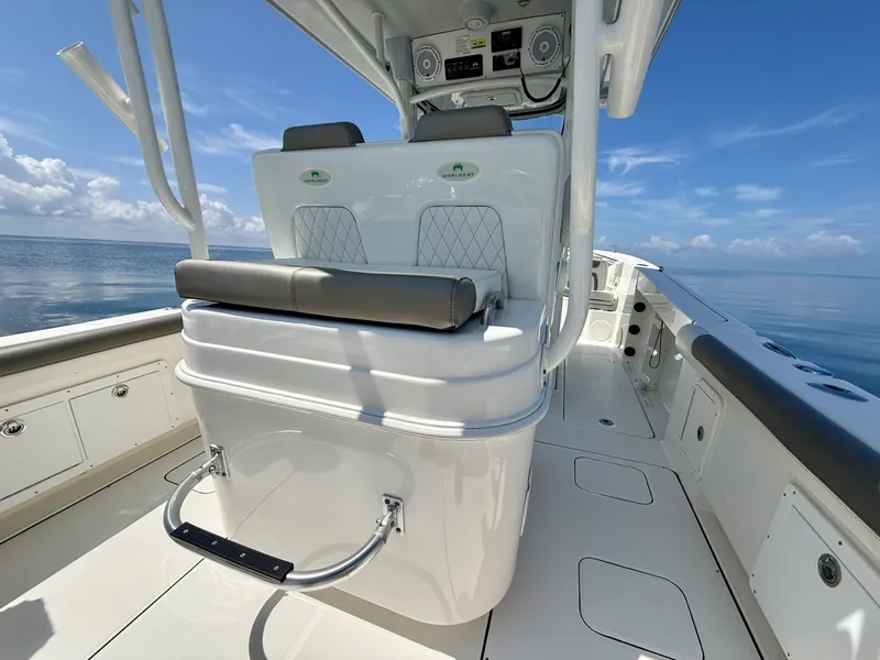Slide: The Image of World Cat 295 CC 2021 - 6109446