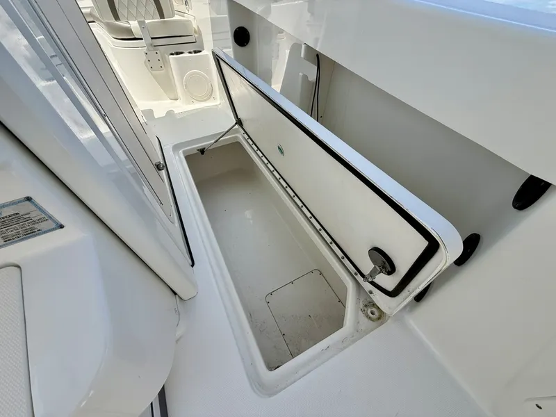 Slide: The Image of World Cat 295 CC 2021 - 6109484