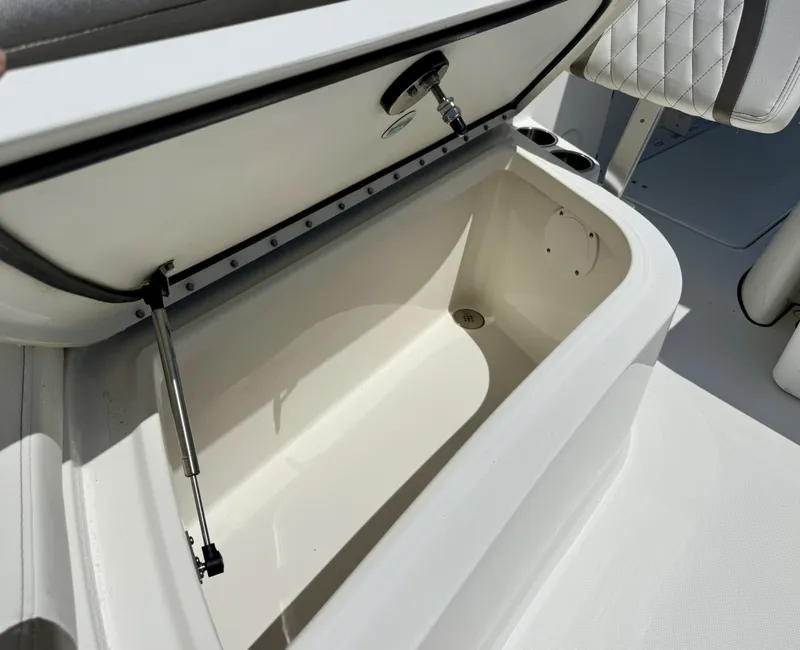 Slide: The Image of World Cat 295 CC 2021 - 6109504