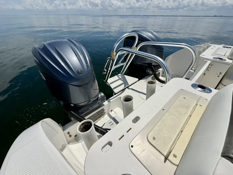 Slide: The Image of World Cat 295 CC 2021 - 6109486